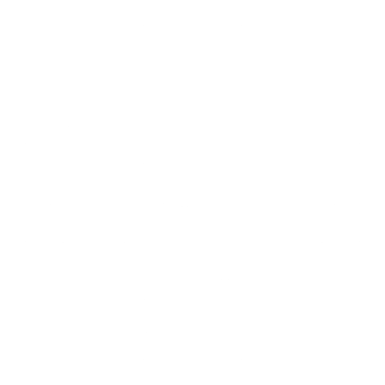 Green and Spiegel LLC